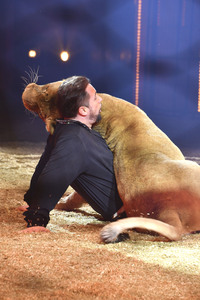 Circus Krone Premiere 'Farbenspiel - Gold Edition' in München