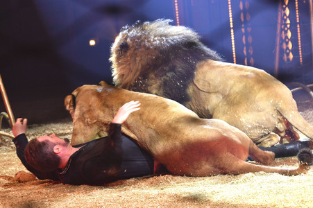 Circus Krone Premiere 'Farbenspiel - Gold Edition' in München