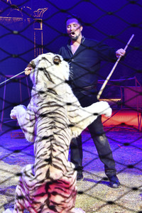 Circus Krone Premiere 'Farbenspiel - Gold Edition' in München