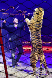 Circus Krone Premiere 'Farbenspiel - Gold Edition' in München