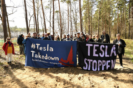 Tesla Takedown' Demonstration in Grünheide