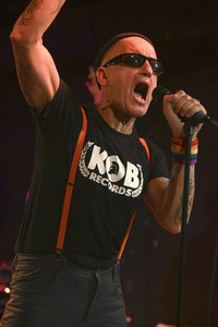 Konzert von Los Fastidios in Hannover