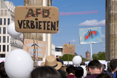 Demonstration für ein AfD-Verbot in Berlin