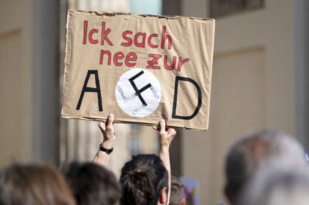 Demonstration für ein AfD-Verbot in Berlin