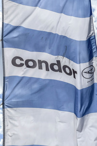 Symbolfoto Condor