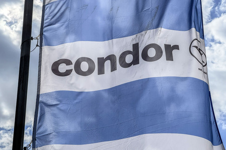 Symbolfoto Condor