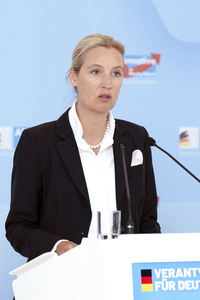 Fraktionssitzung der AfD-Bundestagsfraktion in Berlin