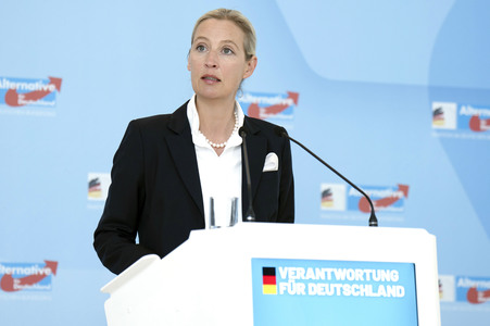 Fraktionssitzung der AfD-Bundestagsfraktion in Berlin