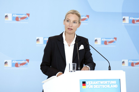 Fraktionssitzung der AfD-Bundestagsfraktion in Berlin