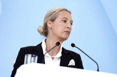 Fraktionssitzung der AfD-Bundestagsfraktion in Berlin