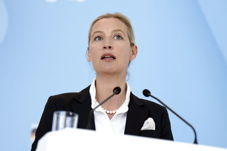 Fraktionssitzung der AfD-Bundestagsfraktion in Berlin