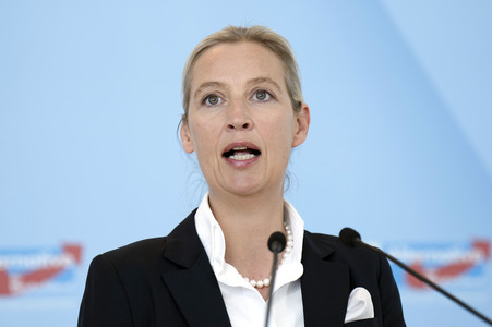 Fraktionssitzung der AfD-Bundestagsfraktion in Berlin