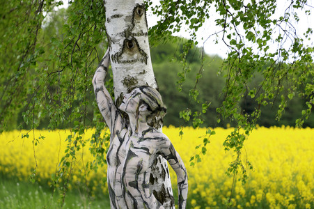 NATURE ART: Rapsbirken / Rapeseed Birches Bodypainting