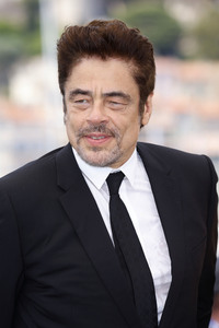 Photocall 'Der phönizische Meisterstreich', Cannes Film Festival 2025