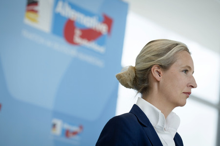 Fraktionssitzung der AfD-Bundestagsfraktion in Berlin