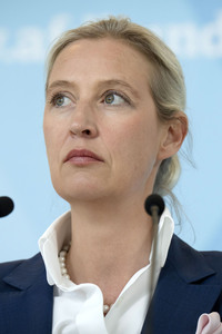 Fraktionssitzung der AfD-Bundestagsfraktion in Berlin