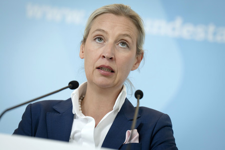 Fraktionssitzung der AfD-Bundestagsfraktion in Berlin