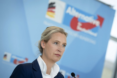 Fraktionssitzung der AfD-Bundestagsfraktion in Berlin