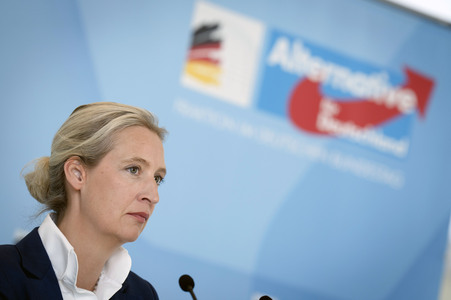 Fraktionssitzung der AfD-Bundestagsfraktion in Berlin