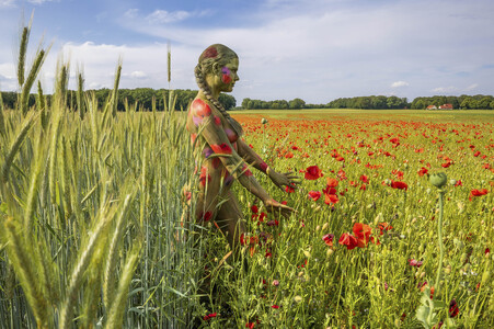 NATURE ART: Rotmohn / Red Poppy Bodypainting