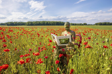NATURE ART: Rotmohn / Red Poppy Bodypainting