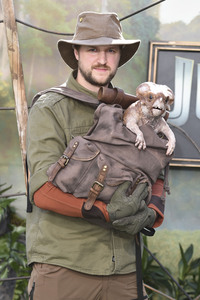 Filmpremiere ' Jurassic World: Die Wiedergeburt' in London