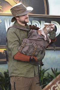 Filmpremiere ' Jurassic World: Die Wiedergeburt' in London