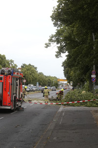Sturmschäden in Berlin