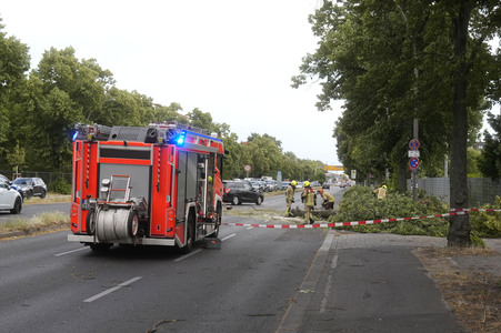 Sturmschäden in Berlin