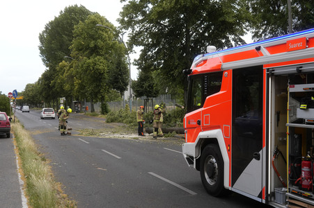 Sturmschäden in Berlin