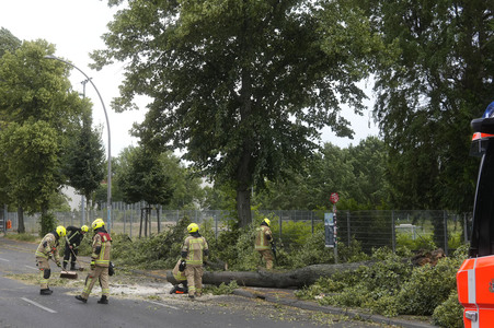 Sturmschäden in Berlin