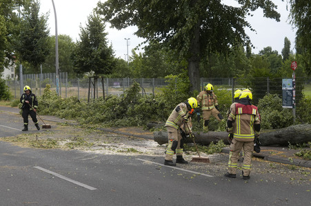 Sturmschäden in Berlin