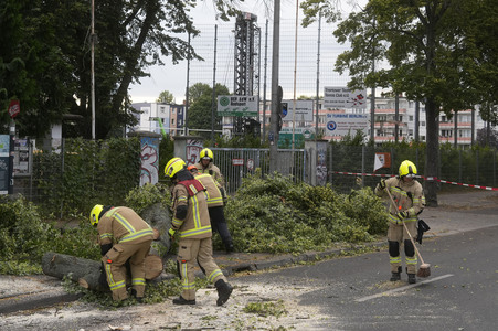 Sturmschäden in Berlin
