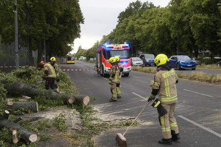 Sturmschäden in Berlin