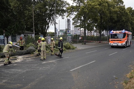 Sturmschäden in Berlin