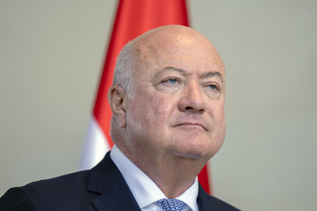 Empfang des österreichischen Bundeskanzlers in Berlin