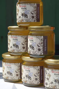 Erste automatisierte Güterzuglokomotive von DB Cargo im Testbetrieb in Köln