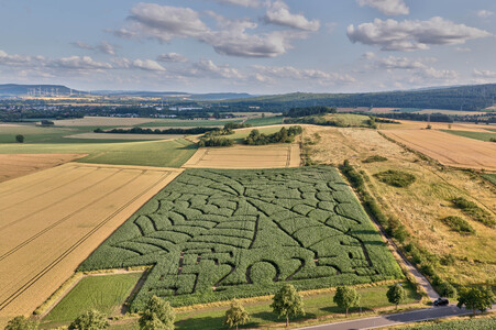 Maislabyrinth  in Bad Münder