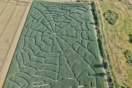 Maislabyrinth  in Bad Münder