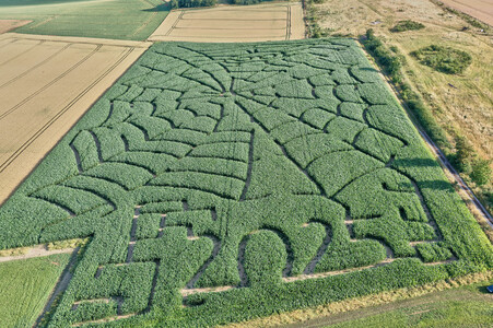 Maislabyrinth  in Bad Münder