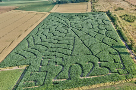 Maislabyrinth  in Bad Münder