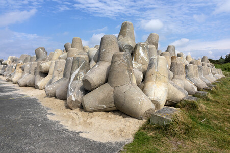 Tetrapoden in Westerland