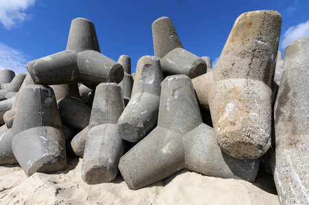 Tetrapoden in Westerland