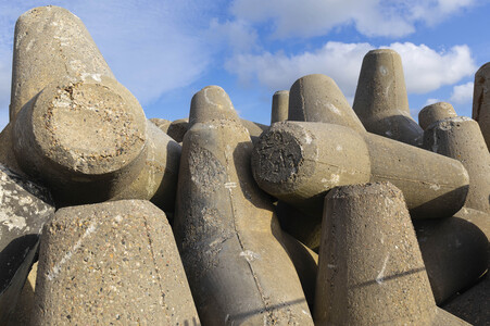 Tetrapoden in Westerland