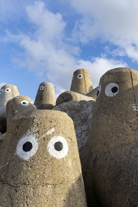 Tetrapoden in Westerland