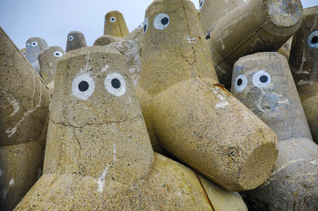 Tetrapoden in Westerland