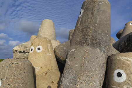 Tetrapoden in Westerland