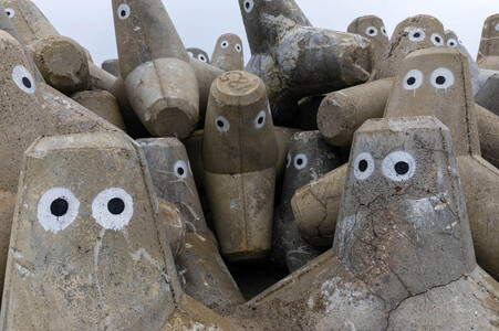 Tetrapoden in Westerland