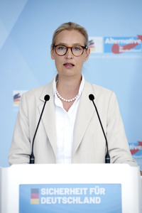 Pressestatement anlässlich der Fraktionsklausur der AfD in Berlin
