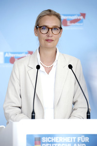 Pressestatement anlässlich der Fraktionsklausur der AfD in Berlin